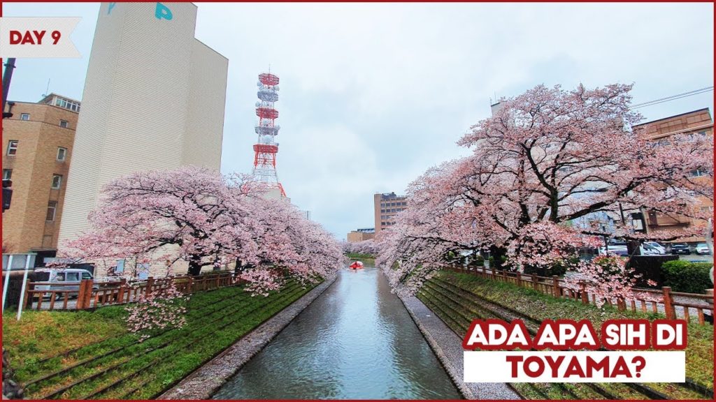 Vlog Jepang Hari ke 9 - Cuaca dingin dan hujan seharian di Jepang, Toyama / Awi Willyanto