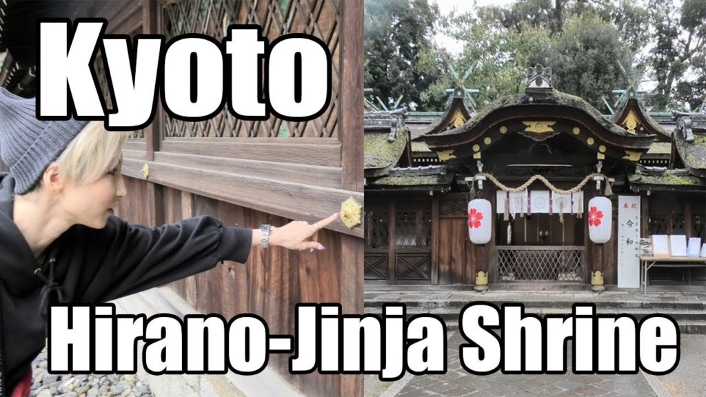 Hirano-Jinja Shrine in Kyoto｜Japan Trip Vlog｜桜の名所で有名な京都の平野神社[4K]
