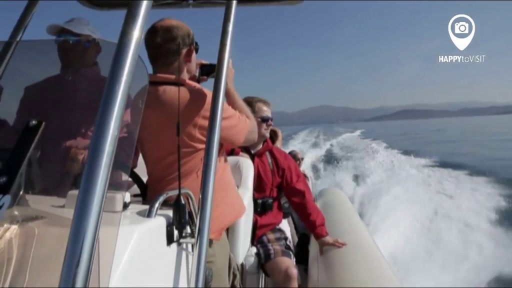 Blue Cave   5 Islands Speedboat Tour from Split - HAPPYtoVISIT