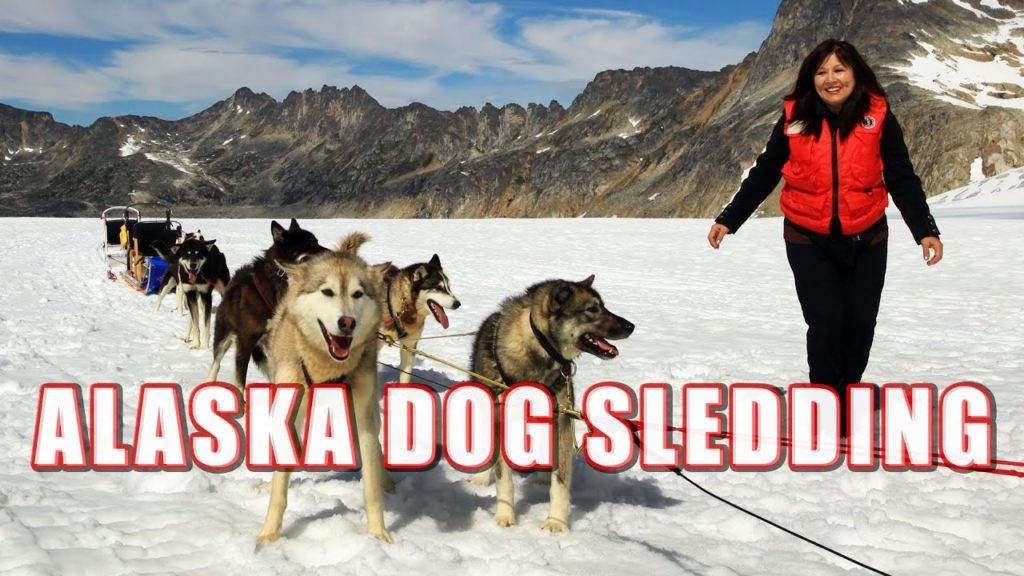 Alaska Dog Sledding On Top Of A Glacier (Short Film)