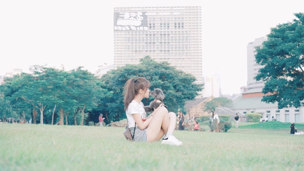 Taiwan 華山 Huashan│Travel Cinematic MV 4K Sony GM ZHIYUN Weebill S DJI Mavic Pro