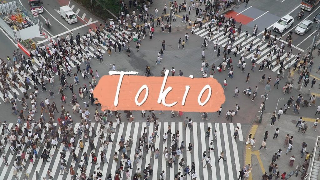 Auf in ein neues Land! • Japan • Weltreise-Vlog 23