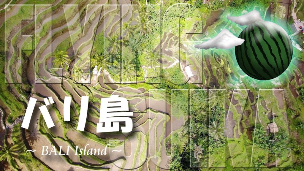 【ドローン 空撮 4K】バリ島：Drone Aerial BALI Island