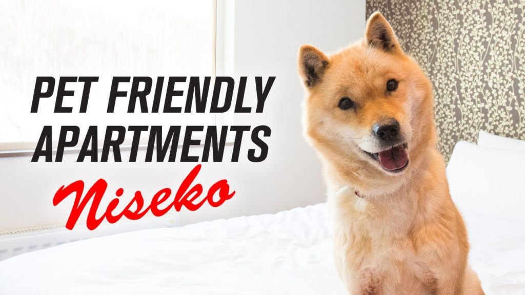 Snow Dog Niseko - Pet-friendly Accommodation in Niseko, Japan