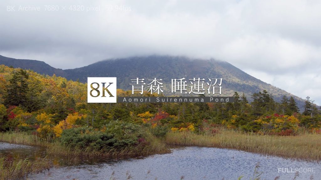 [8K footage] Aomori Suirennuma Pond [青森 睡蓮沼_8K]