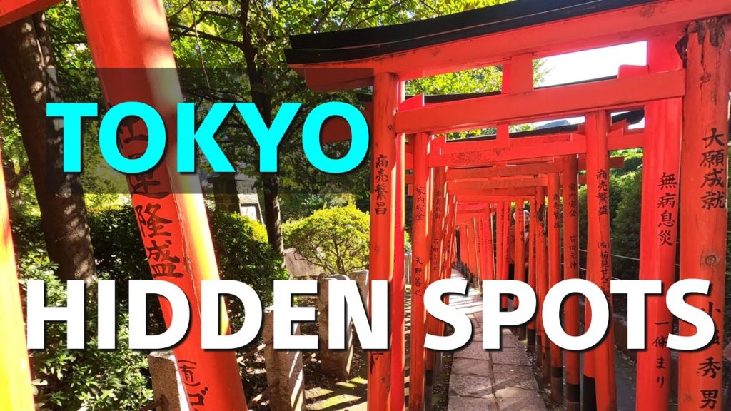 Tokyo Hidden Spots | Nezu Shrine #Japan #Travel #Tokyo