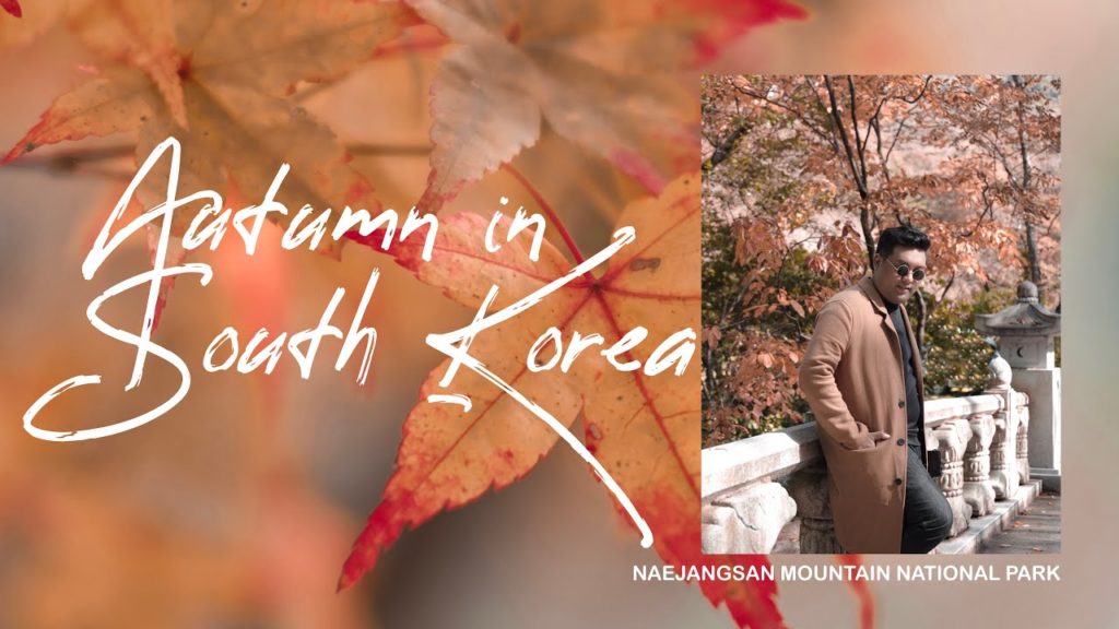 AUTUMN in SOUTH KOREA (Naejangsan National Park) Feat. TRAZY