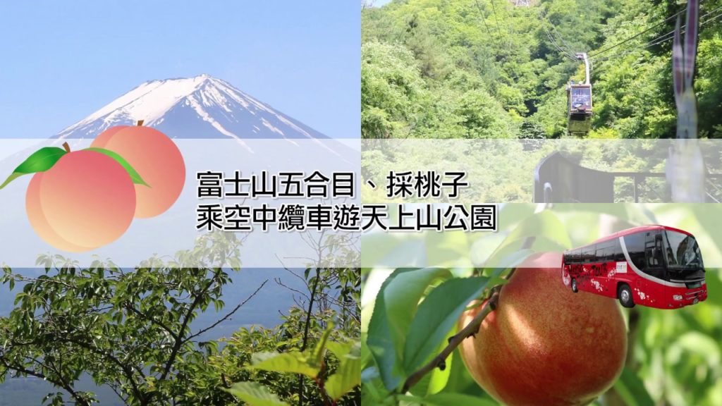 YOKOSO Japan Tour 介紹 --採桃子&富士山-- C42