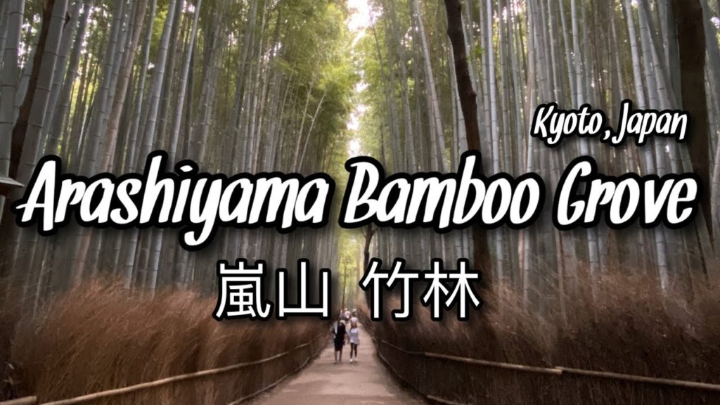 【 Travel 】Arashiyama Bamboo Grove | Kyoto, Japan 【 Travel 】Arashiyama Bamboo Grove | Kyoto, Japan