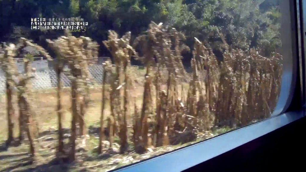 Japan train ASMR - JR Kagoshima Main Line Rapid from Kurosaki Station