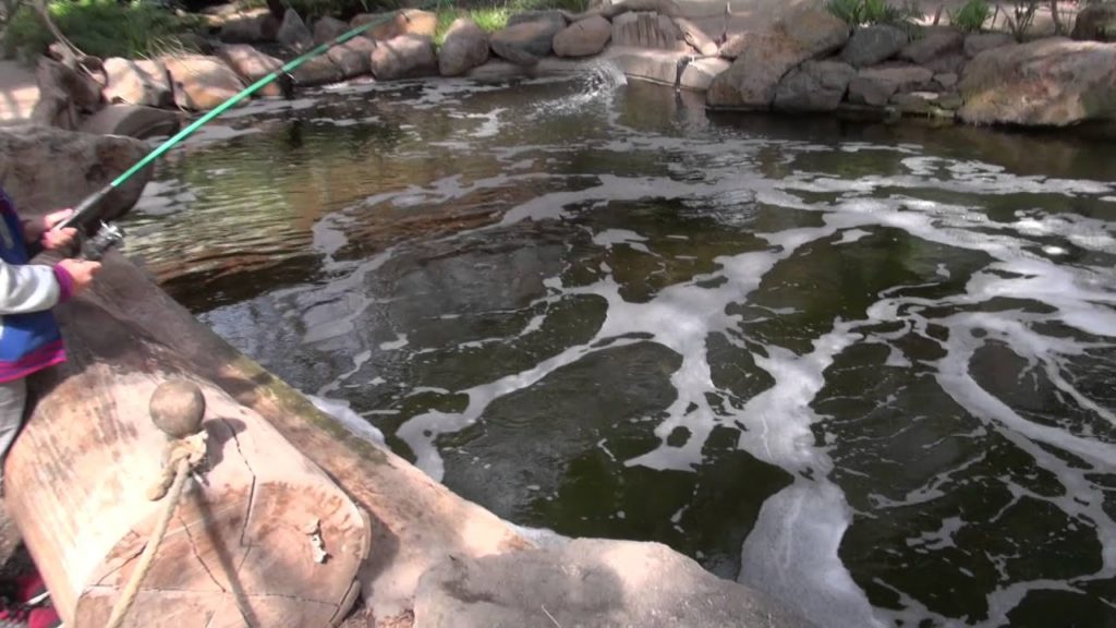 Kids View: Rhyll Trout and Bush Tucker Farm, Phillip Island