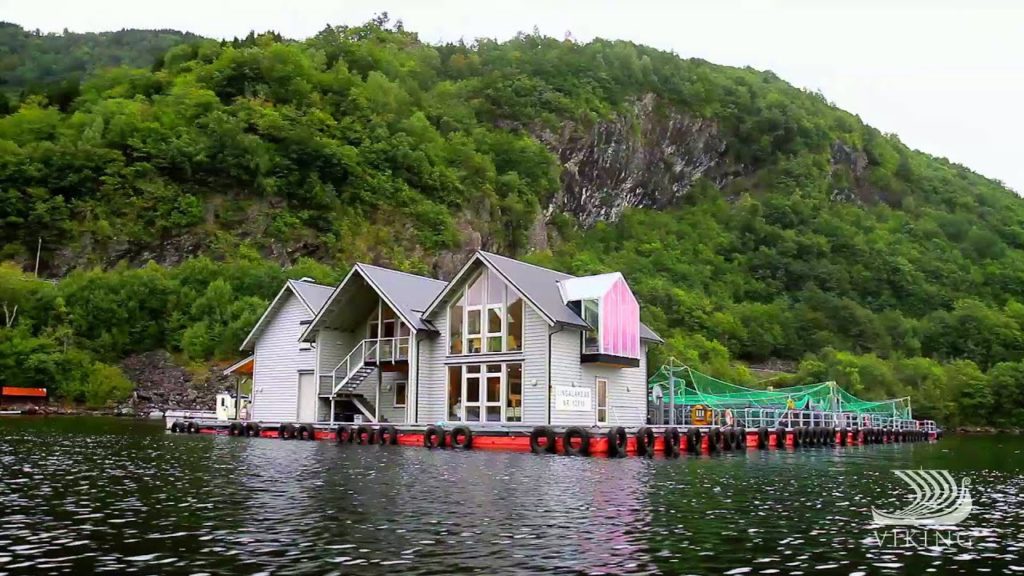 Viking Oceans: Family Fish Farming