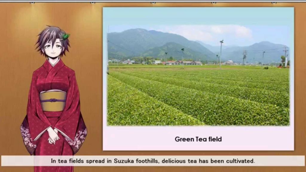 About Suzuka City (Mie Prefecture,Suzuka city)