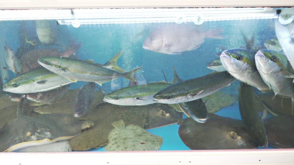 Korean Fish Market │ How to Fillet a Yellowtail │ Hamachi Sashimi