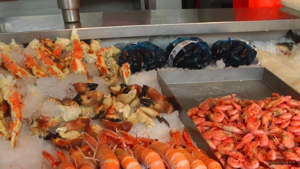 Norway, Bergen, Fish Market – Trip to Norwegian Fjords-part 34-Travel,calatorii,vlog Norway, Bergen, Fish Market - Trip to Norwegian Fjords-part 34-Travel,calatorii,vlog