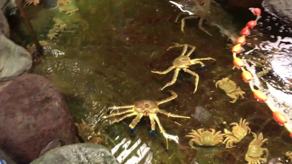 Nagoya crab restaurant