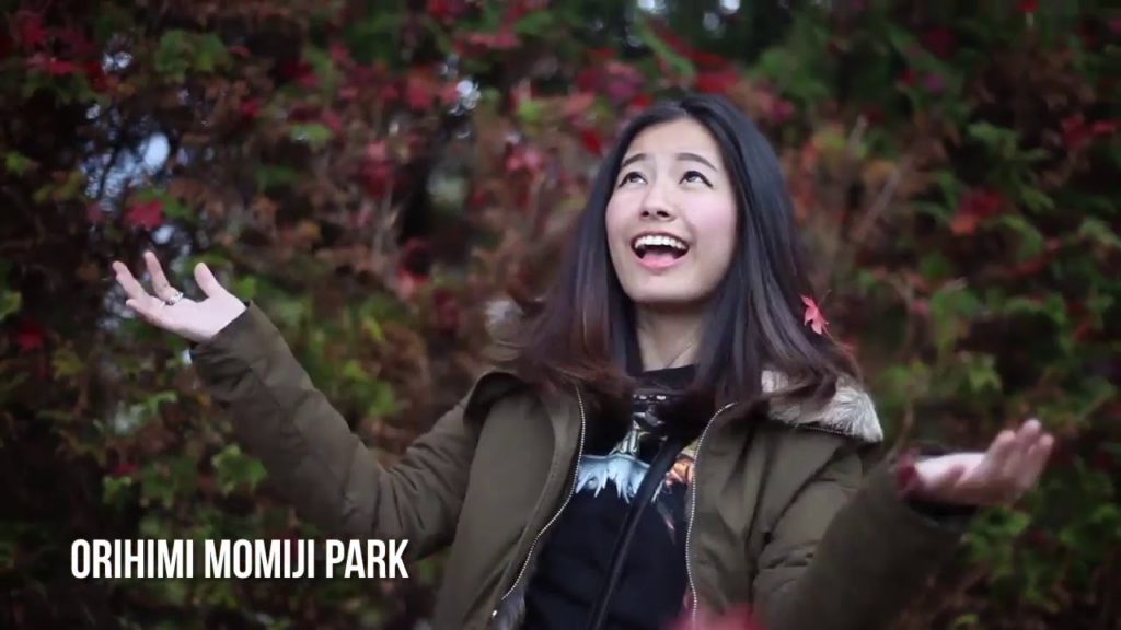 POTO Travel | Japan | Muslim Holidays Tour Packages