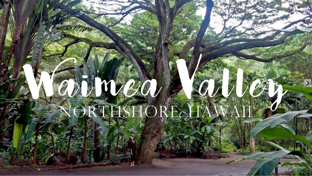 Waimea Valley, Northshore ➳ Cat'elle: My Wanderlust Diary Waimea Valley, Northshore ➳ Cat'elle: My Wanderlust Diary