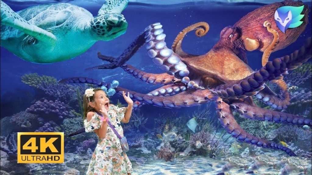 SEA LIFE Aquarium All Creatures Istanbul Turkey | 4K Ultra HD