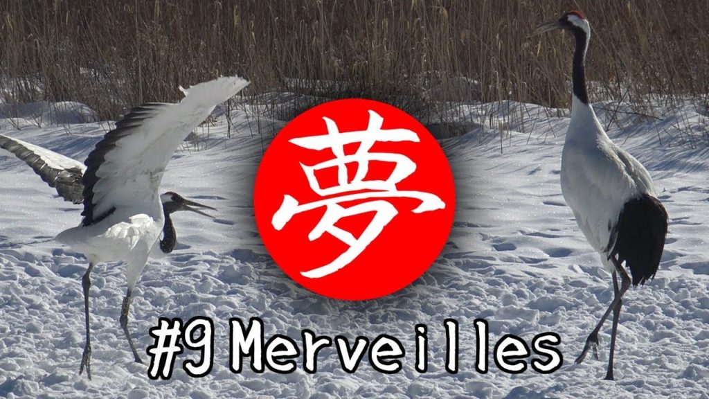Nipponirisme #9 - Merveilles