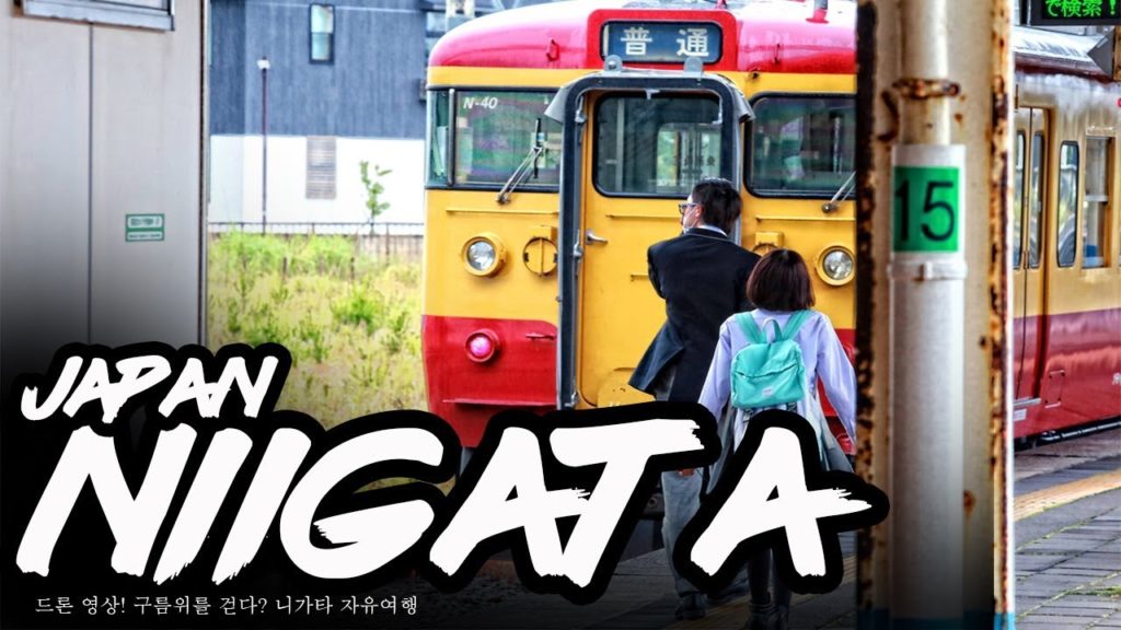 드론 영상! 구름위를 걷다? 니가타 자유여행