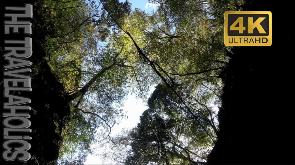 Sandankyo Gorge   三段峡 Japan 🇯🇵