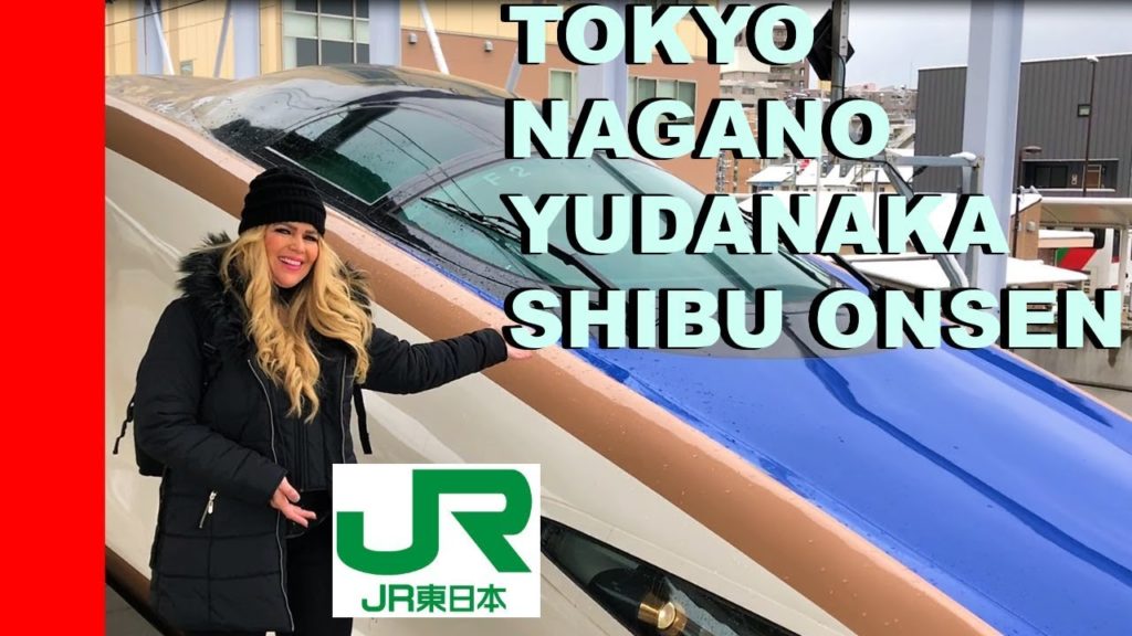 Crazy Adventure On The SHINKANSEN ! 🚄 A live Market And Deer Buns! Crazy Adventure On The SHINKANSEN ! 🚄 A live Market And Deer Buns!