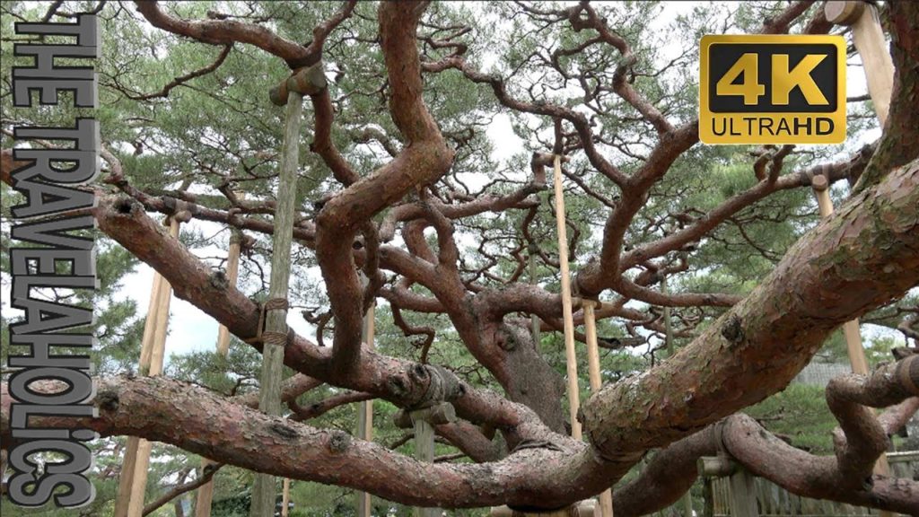 Kenroku-en 兼六園, Six Attributes Garden Japan 🇯🇵