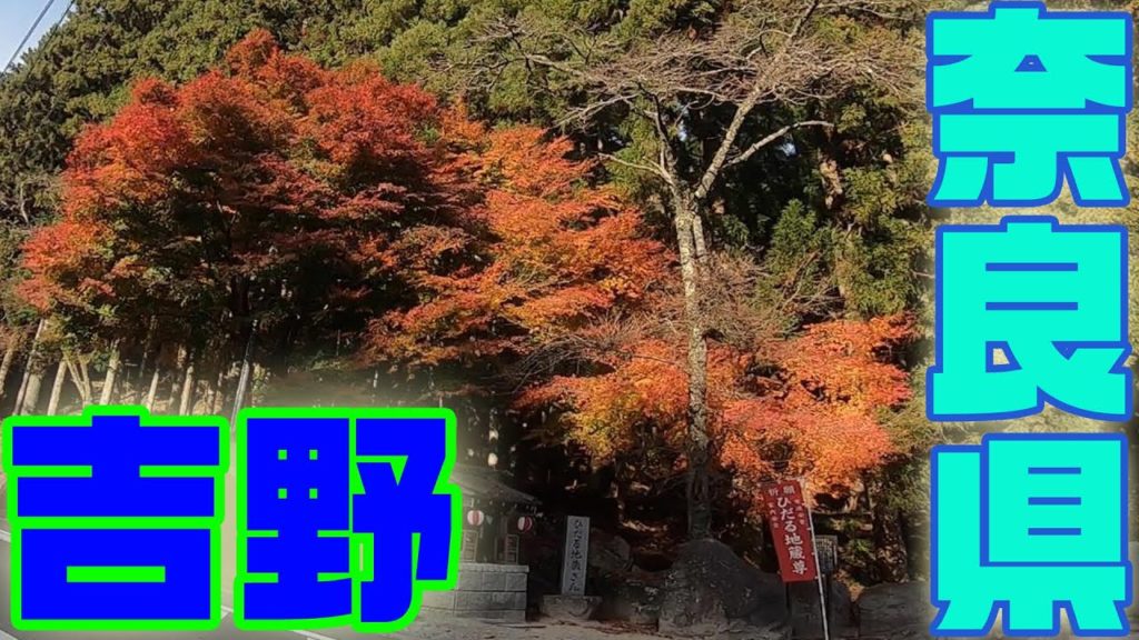 吉野の紅葉 が素敵だった♪【11月25日】奈良