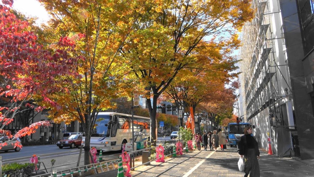 【4K】Kyoto Oike Street 2019 - 京都 御池通り | Japan walking guide