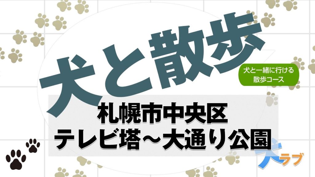札幌 テレビ塔～大通り公園の様子 -犬と散歩動画-
