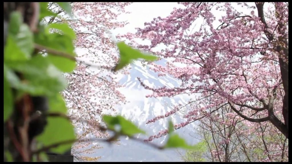 "The Best of Niseko" with Hokkaido Tracks Holidays.mp4