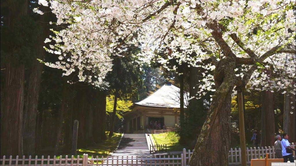 JG 4K HDR 岩手 世界遺産 中尊寺(国宝,特別史跡) Iwate,Chusonji(WH,National Treasure,Special Historic Site)