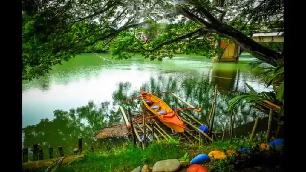 Firefly Watching at Iwahig (Palawan)