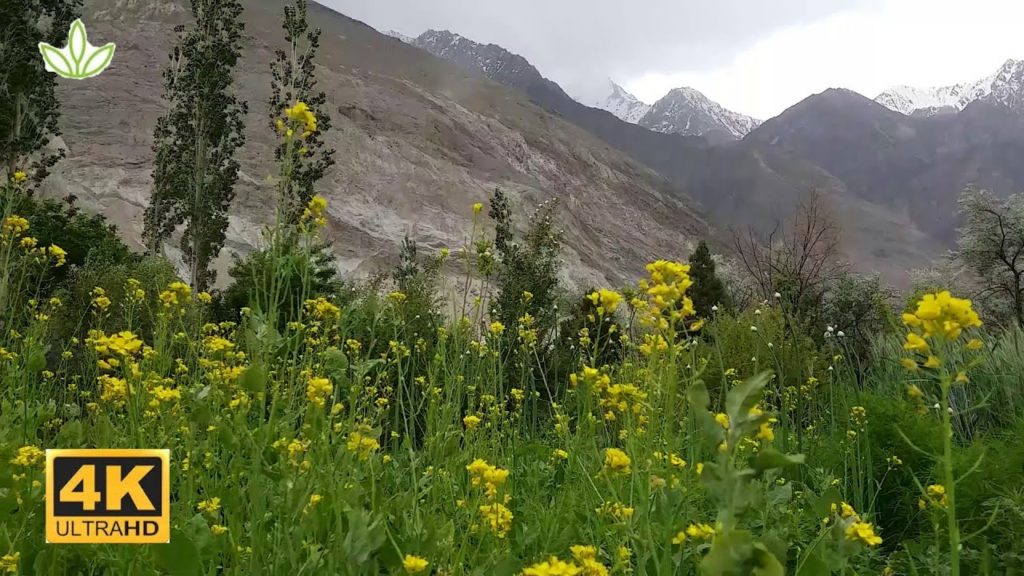 Istach - A Magnificent Place in Pakistan Border to Afghanistan Tajikistan China | 4K Ultra HD