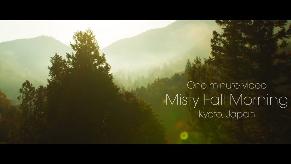 One minute video : Misty fall morning , Kyoto Japan