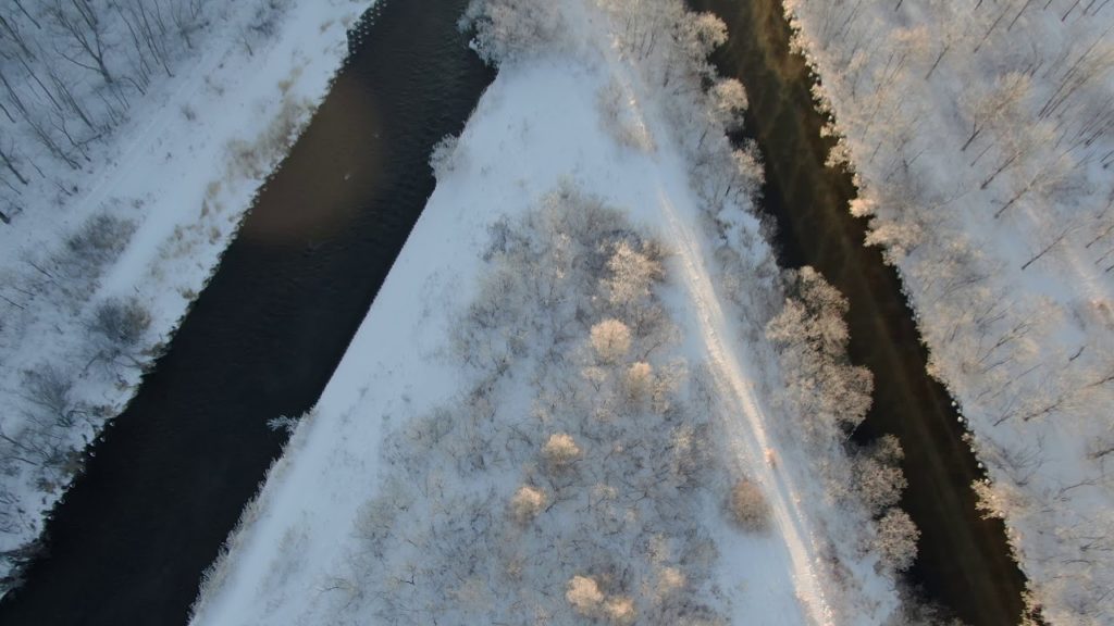 弟子屈霧氷2019～Hoarfrost in Teshikaga 2019