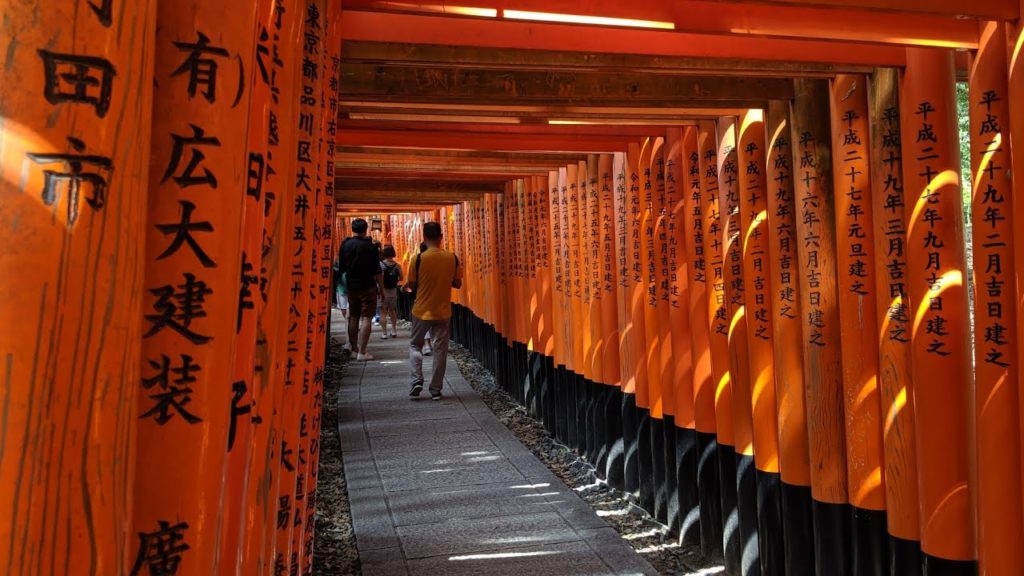 Walking in Kyoto, Japan-Fushimi Inari-taisha by DJI OSMO Pocket 伏見稲荷大社 Walking in Kyoto, Japan-Fushimi Inari-taisha by DJI OSMO Pocket 伏見稲荷大社