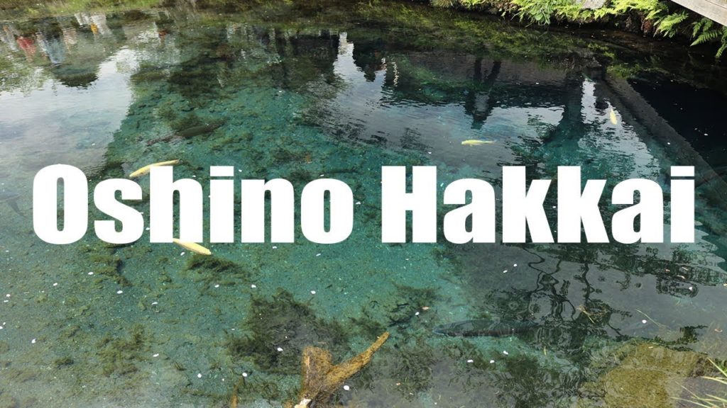 Oshino Hakkai, Fuji Five Lakes, Japan, 忍野八海 - Canon 80D - Virtual Trip