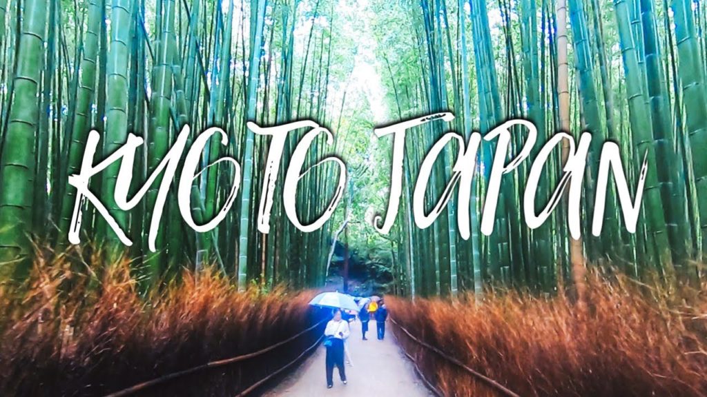 What to Do in Kyoto Japan | Bamboo Forest