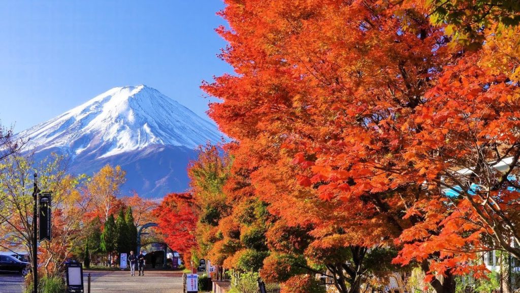 2019 富士河口湖・紅葉まつり[2] / 彩りを増す湖畔の紅葉 [4K]  Fujikawaguchiko Autumn Leaves Festival
