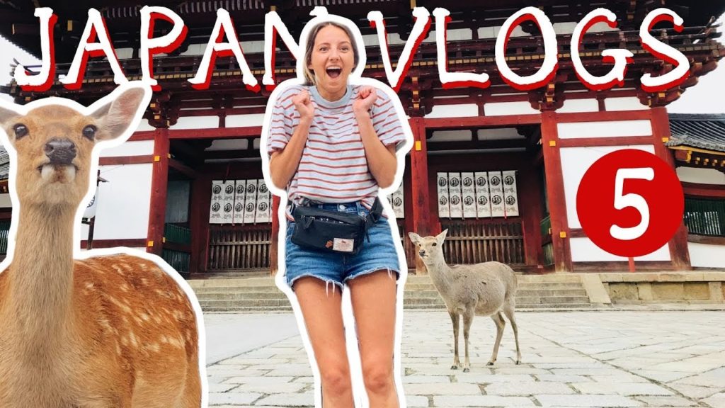 NARA!  Japan Vlogs Episode 5 NARA!  Japan Vlogs Episode 5