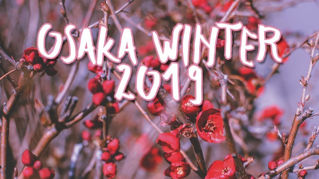 Japan Osaka Winter 2019 Travelog