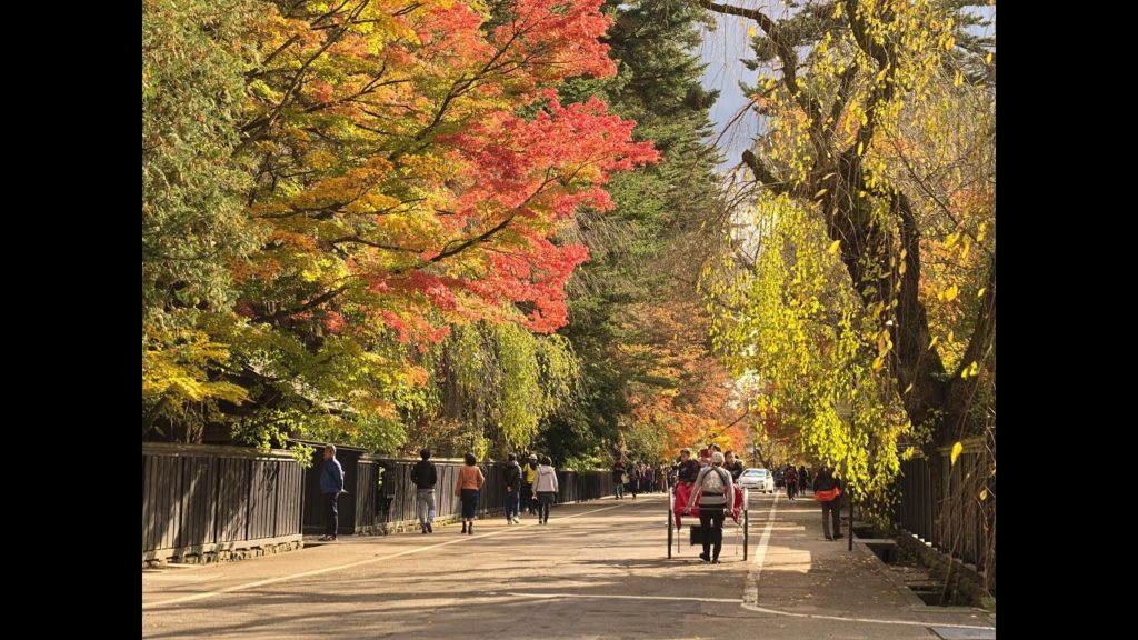 JG☆☆☆☆8K HDR 秋田 角館の紅葉(重伝建,天然記念物) Akita,Kakunodate in Autumn(Historic District,Natural Monument)