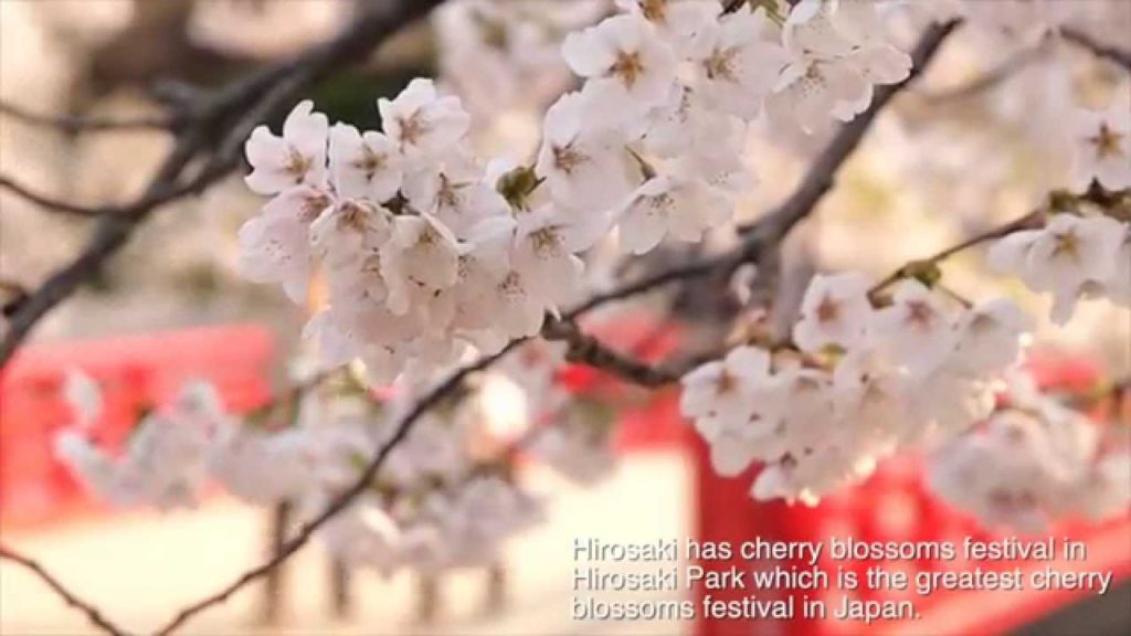 Hirosaki Park Hirosaki Park