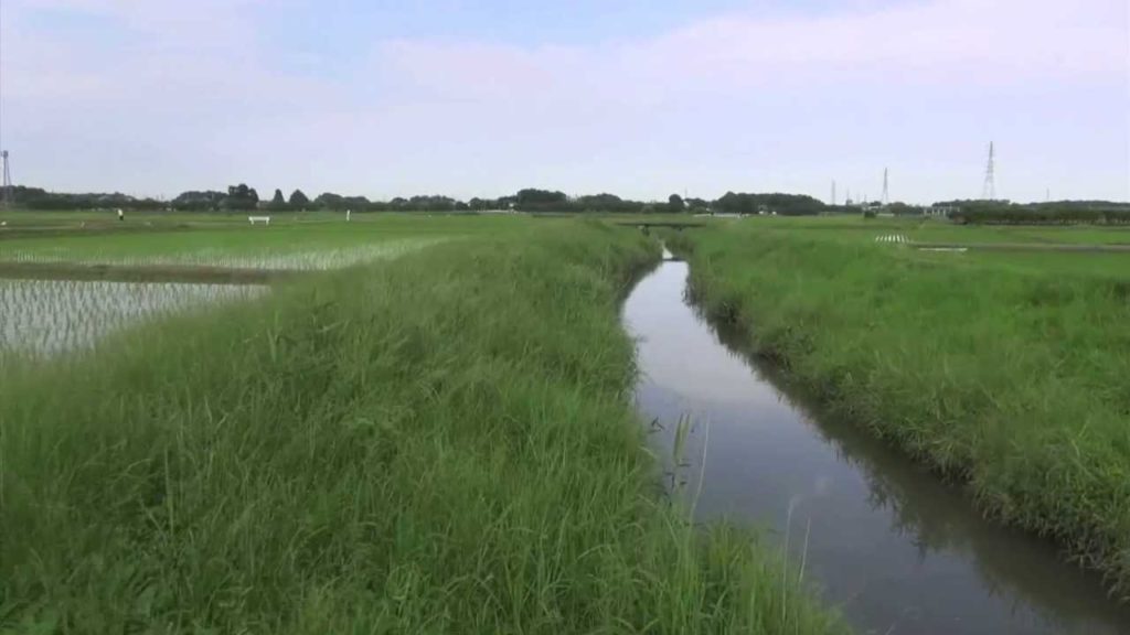 Idyllic landscape in Japan 【Ina-cho / Saitama】 Idyllic landscape in Japan 【Ina-cho / Saitama】