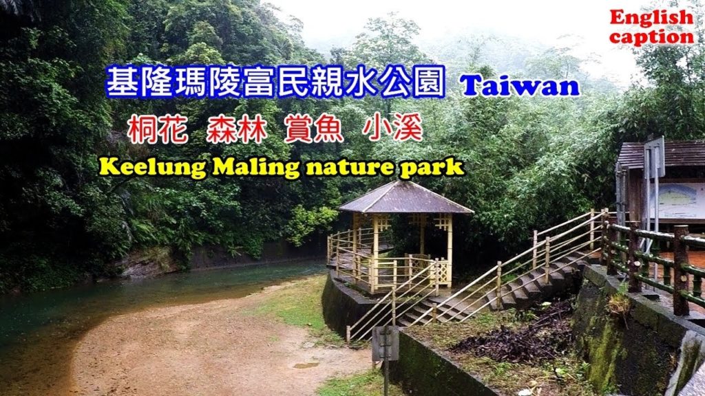 [台灣自由行景點攻略] 基隆瑪陵富民親水公園桐花步道消暑好去處，聽森林溪水聲、賞桐看魚的大自然步道