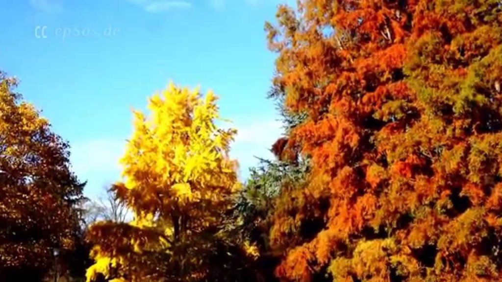 Happy Autumn Colors in Europe