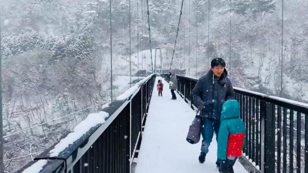Nikko Tochigi (Winter 2019) Side Trip From Tokyo | Snowfall In Nikko | SAKURA