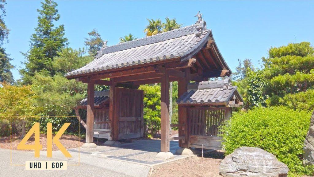 【4K】 Day Walk around Japanese Friendship Garden (No Music Walking Tour)